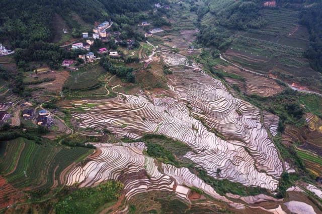 福建华安:晚稻插秧农事繁忙 千亩梯田勾勒田园画卷