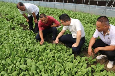 江西南昌县幽兰镇:党建引领奏响乡村振兴“新乐章”