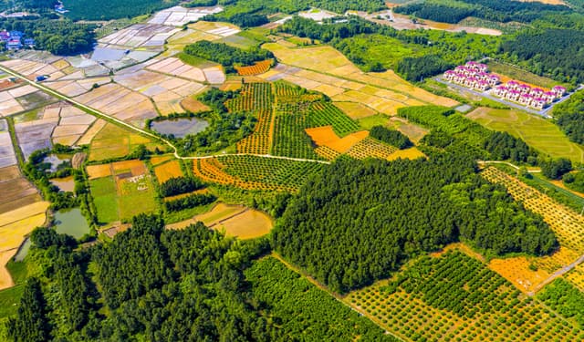 江西新余:绿色产业入画来
